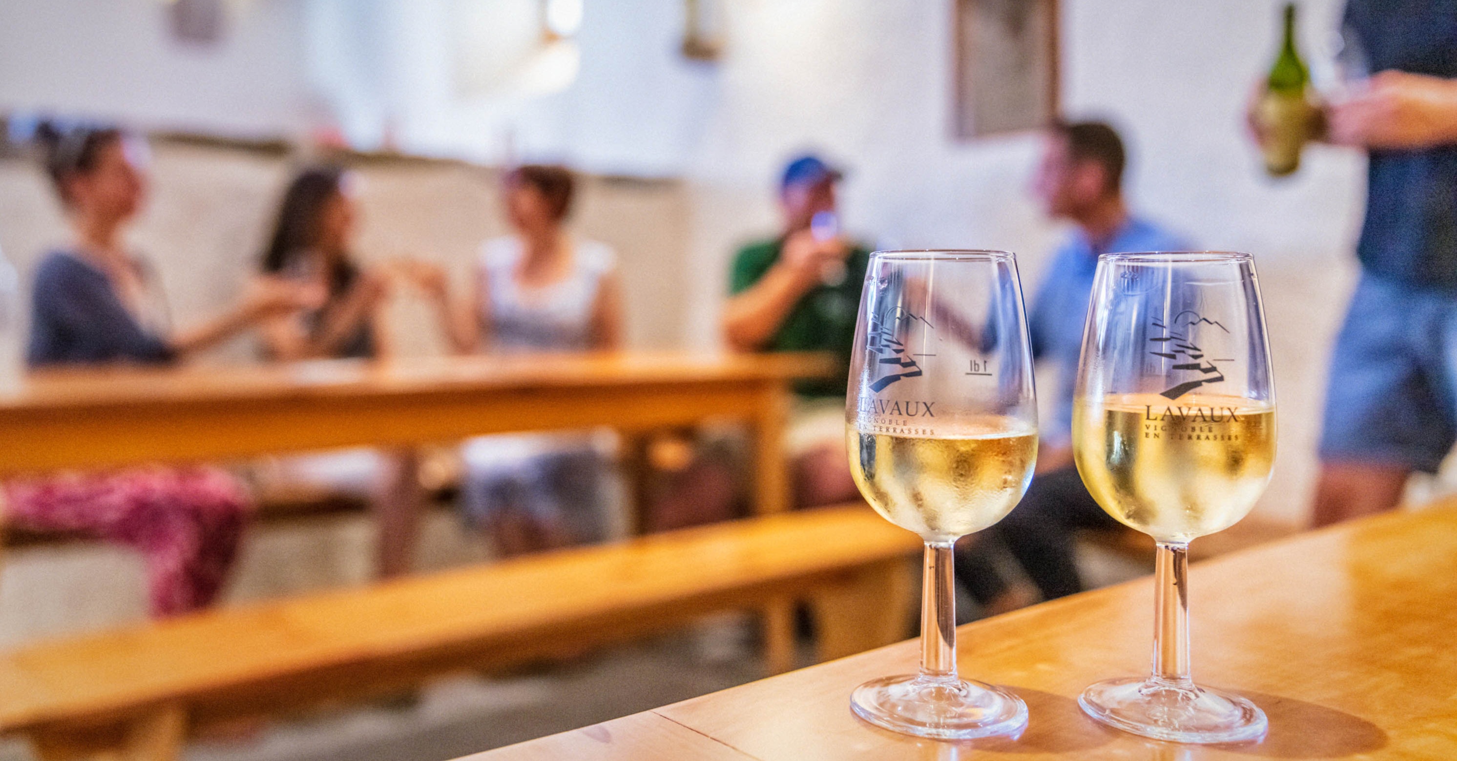 Visite guid&eacute;e: Vignoble de Lavaux