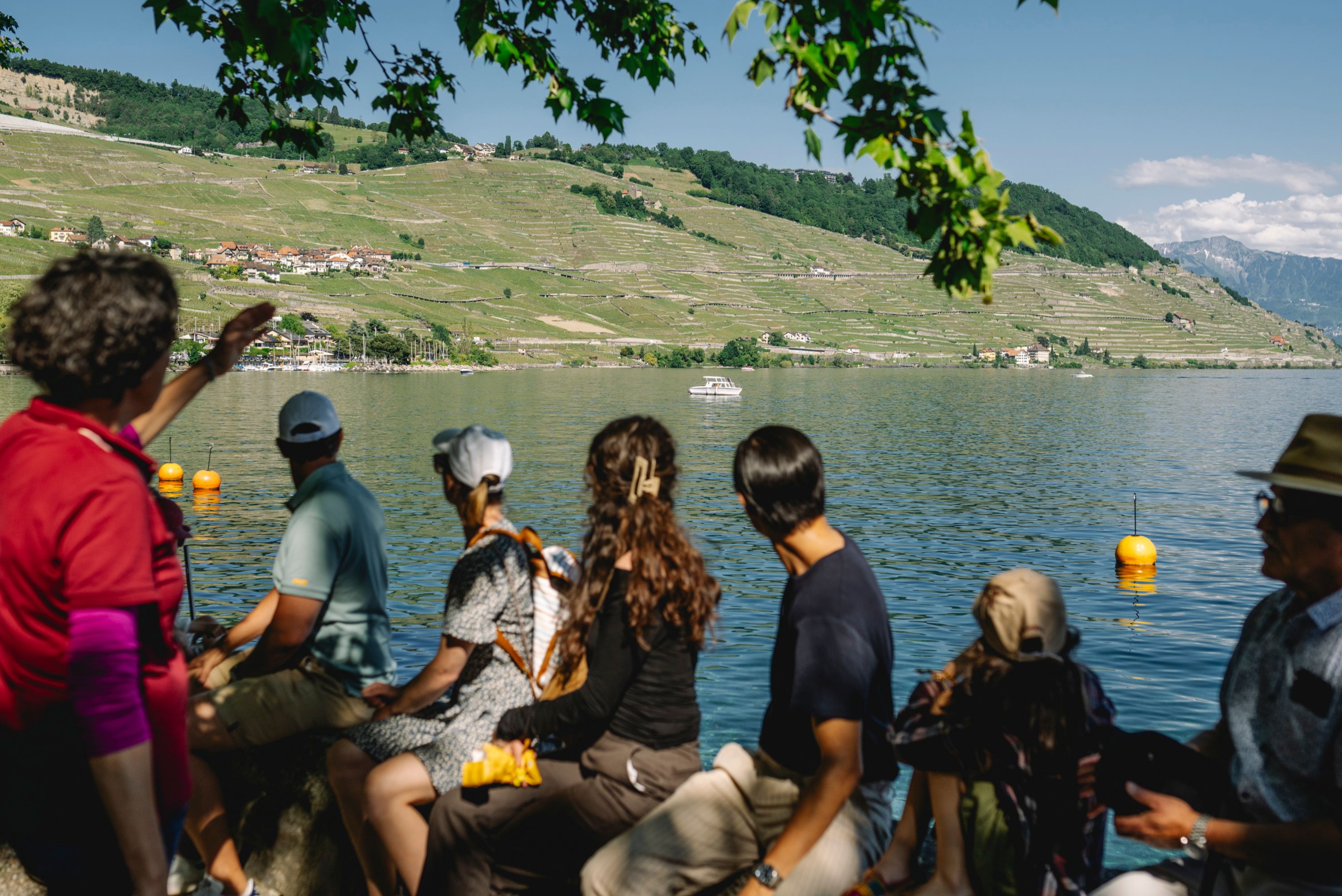 Public guided tour: Lavaux vineyards