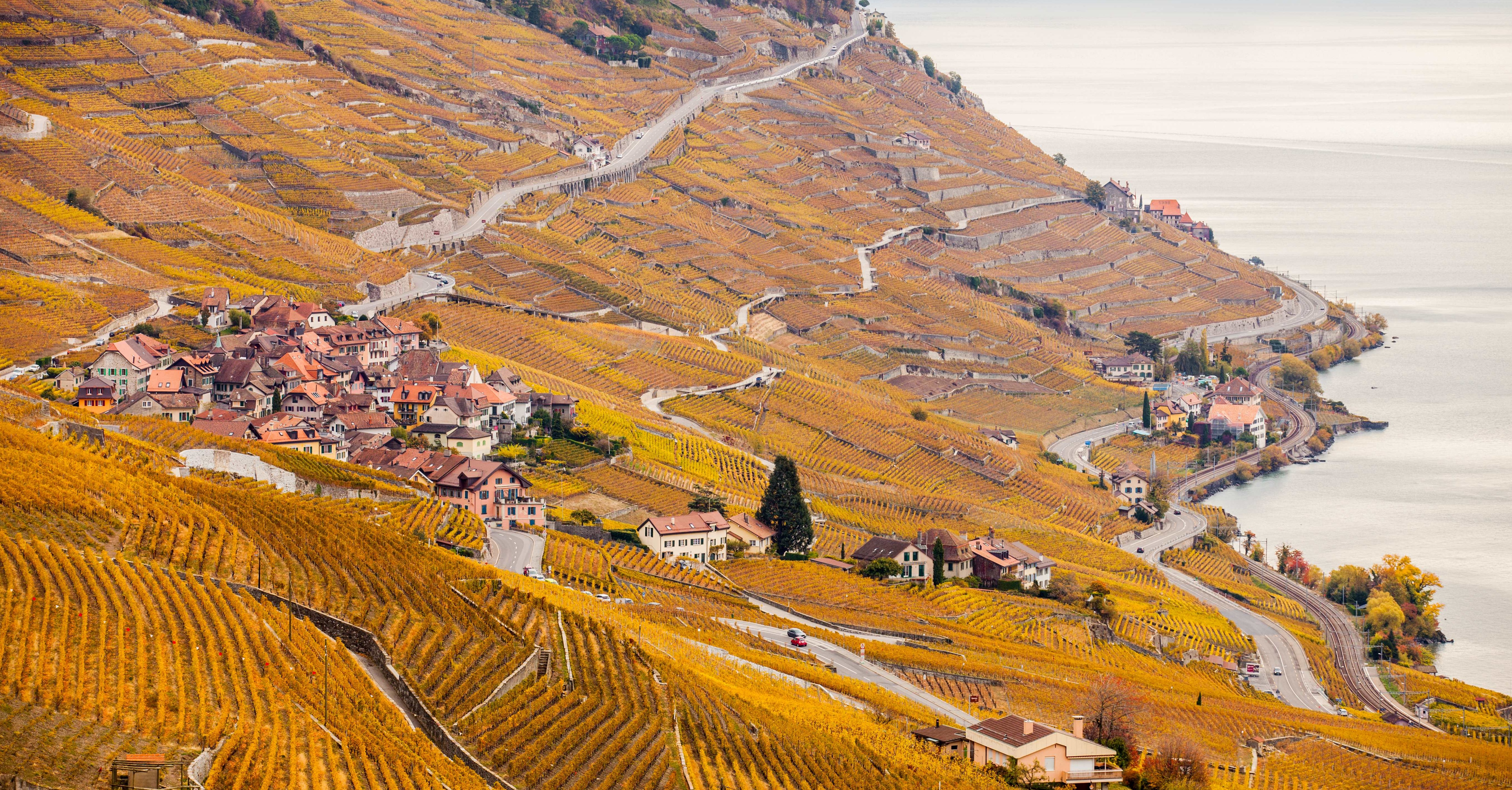 Wine and chocolate pairing in Lavaux