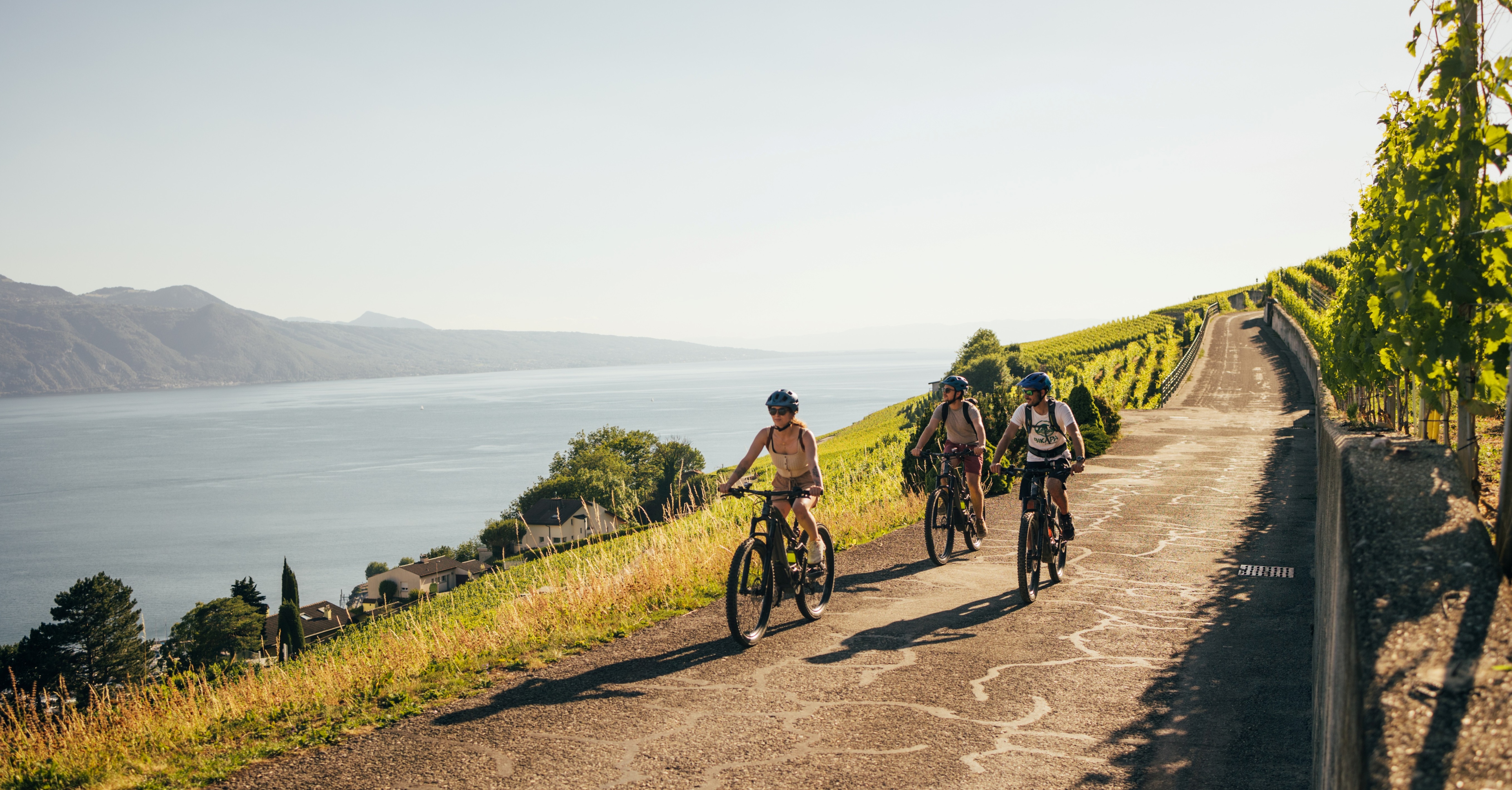 The vineyards of Lavaux by e-bike